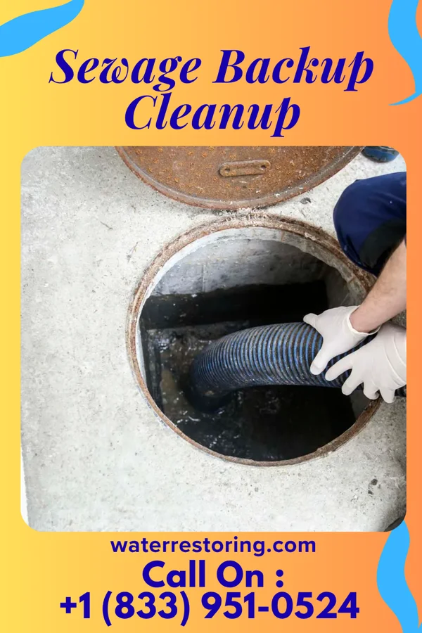 Sewage Backup Cleanup in Hector, AR